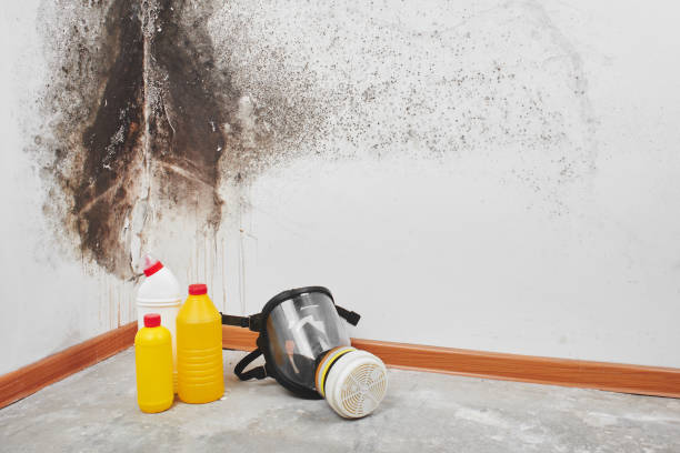 Hallsville, MO Mold Remediation Company