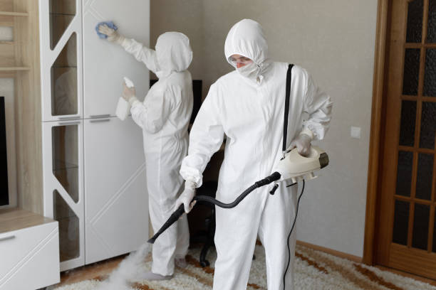 Best Residential Mold Remediation in Hallsville, MO